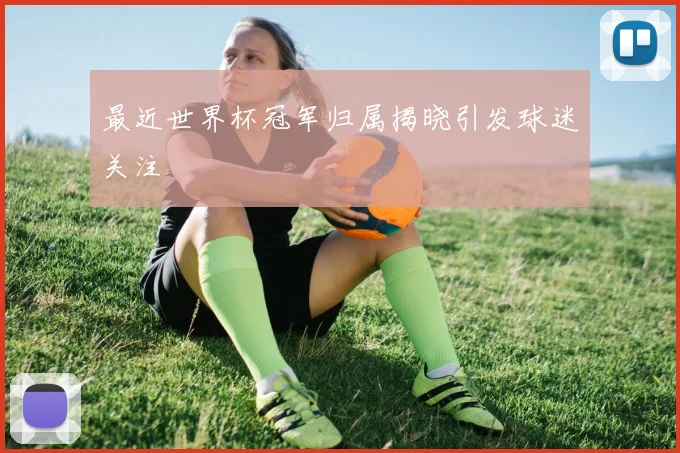 最近世界杯冠军归属揭晓引发球迷关注