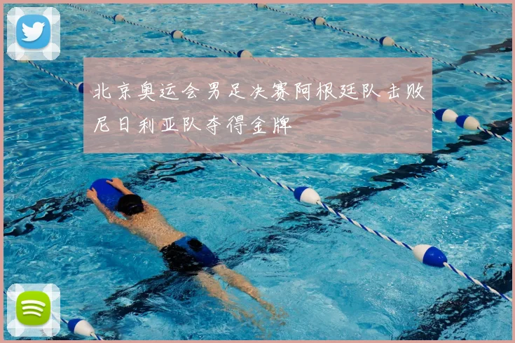 北京奥运会男足决赛阿根廷队击败尼日利亚队夺得金牌