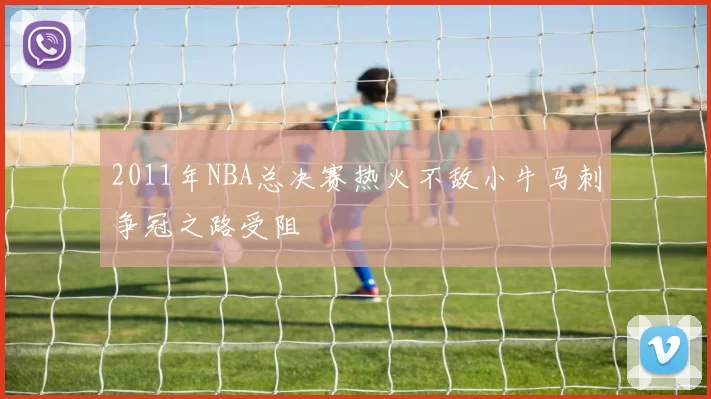 2011年NBA总决赛热火不敌小牛马刺争冠之路受阻